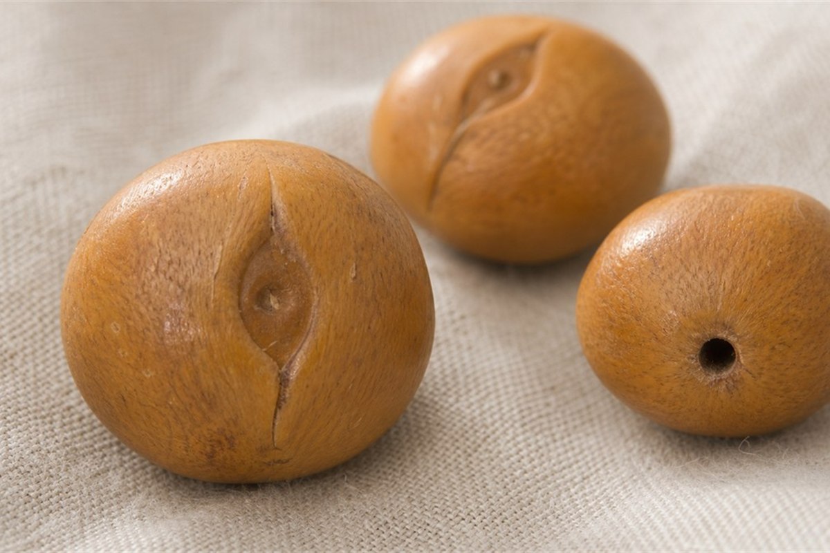 Macro view of a Fengyan Bodhi bead showing the natural eye line, central eye area, compact skin, and shallow texture