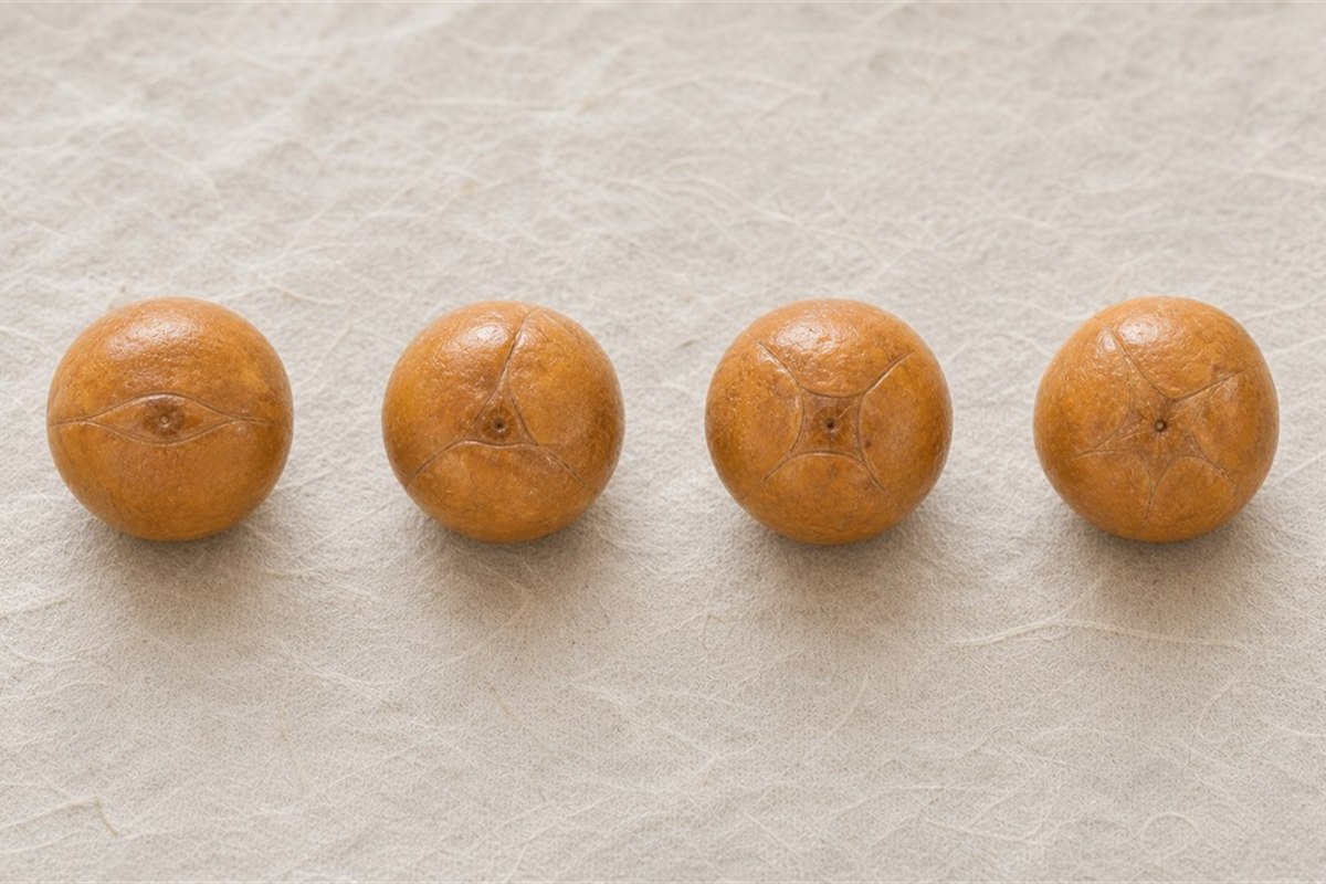 Four natural Bodhi fruit stones showing narrow two-part, triangular three-part, quadrangular four-part, and five-part eye structures