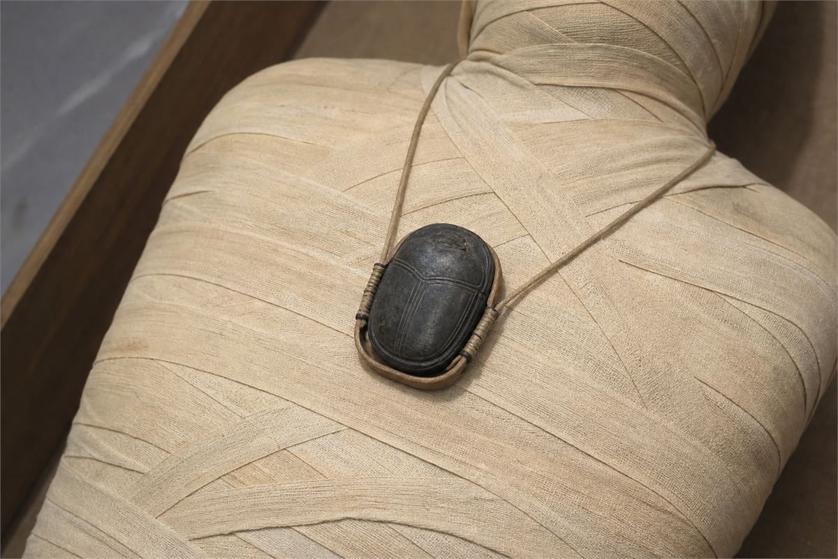 Dark stone heart scarab resting in a simple mount over the chest of a fully wrapped mummy