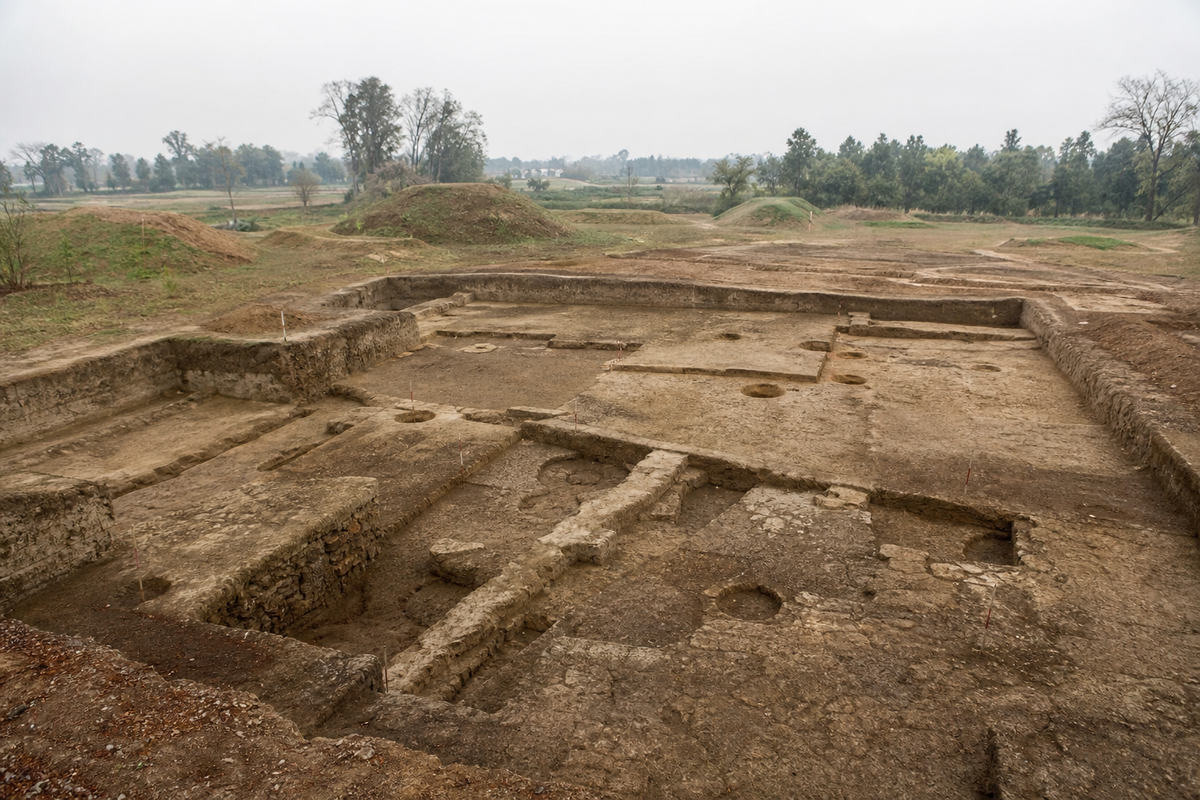 Excavated wall traces and low earthen mounds in a contemporary archaeological landscape