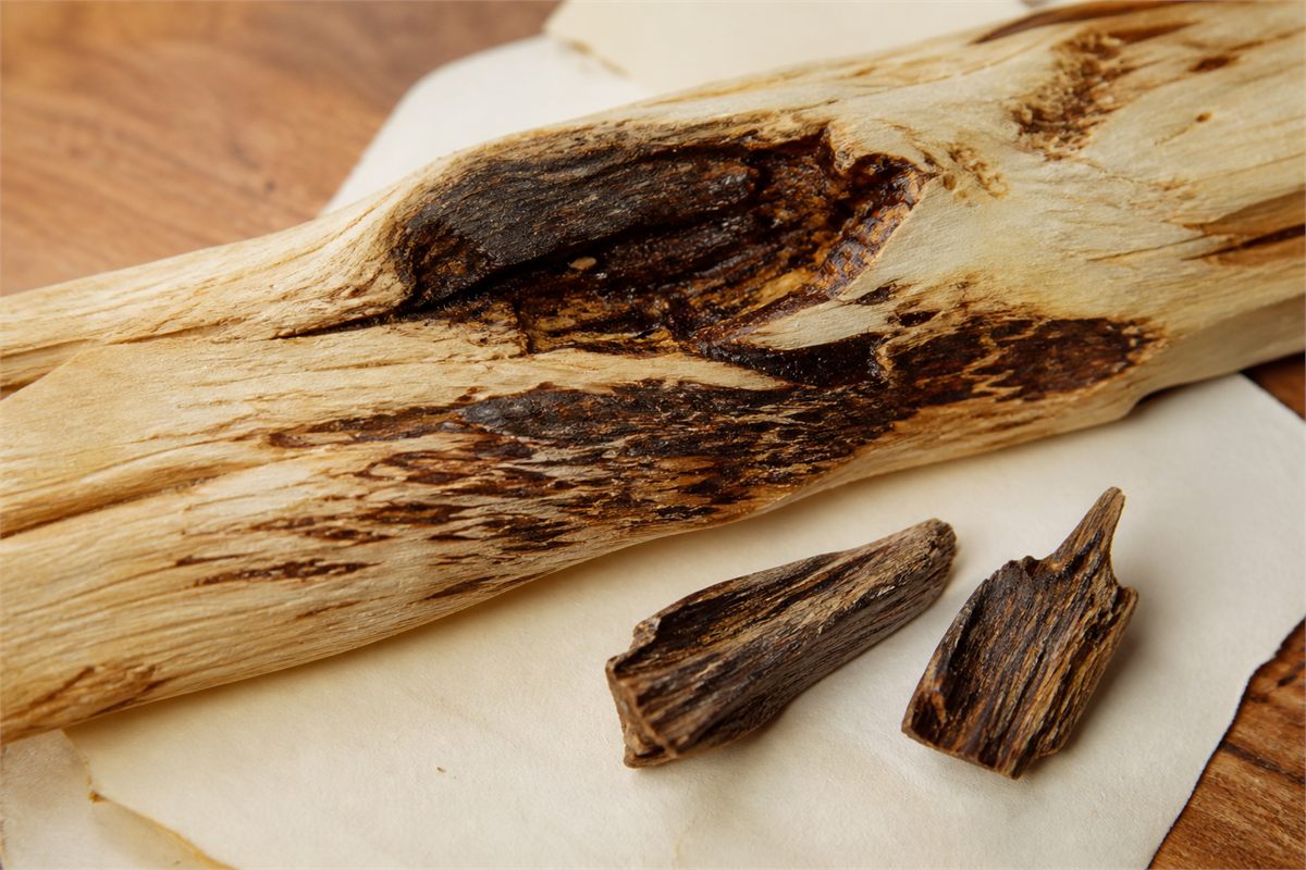 Split pale wood with irregular dark resin-enriched patches and two agarwood chips