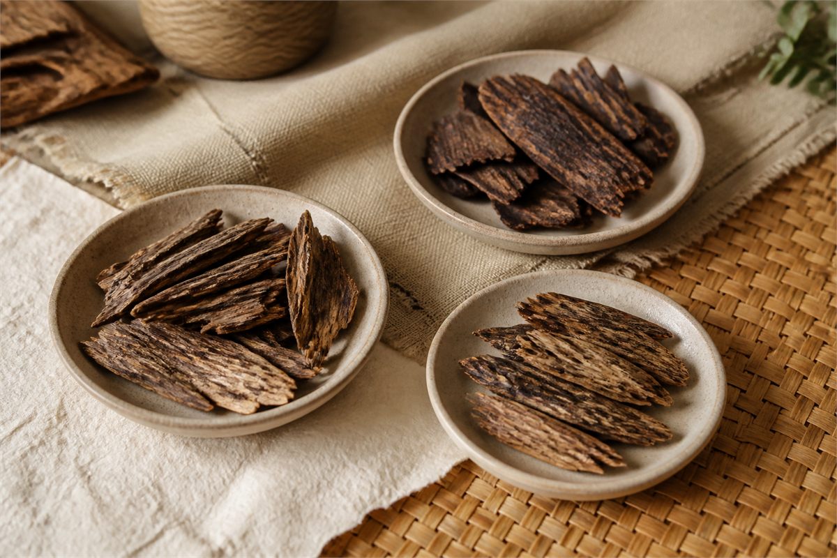 Three separate ceramic dishes holding varied resin-streaked agarwood wood samples on paper, cloth, and woven textures