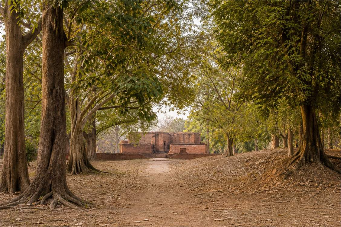 Earth-toned path through a South Asian grove leading toward a simple distant monastery exterior