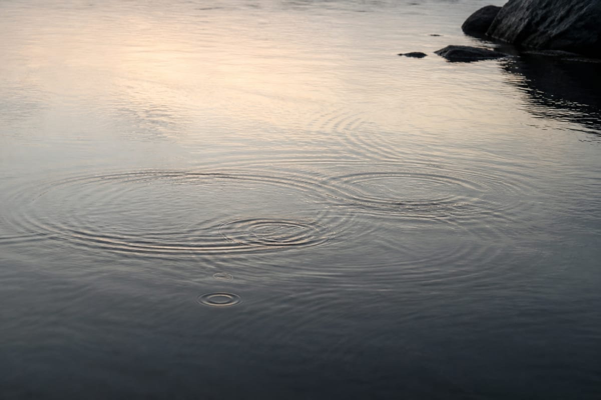 Natural intersecting ripples spreading across calm water at first light