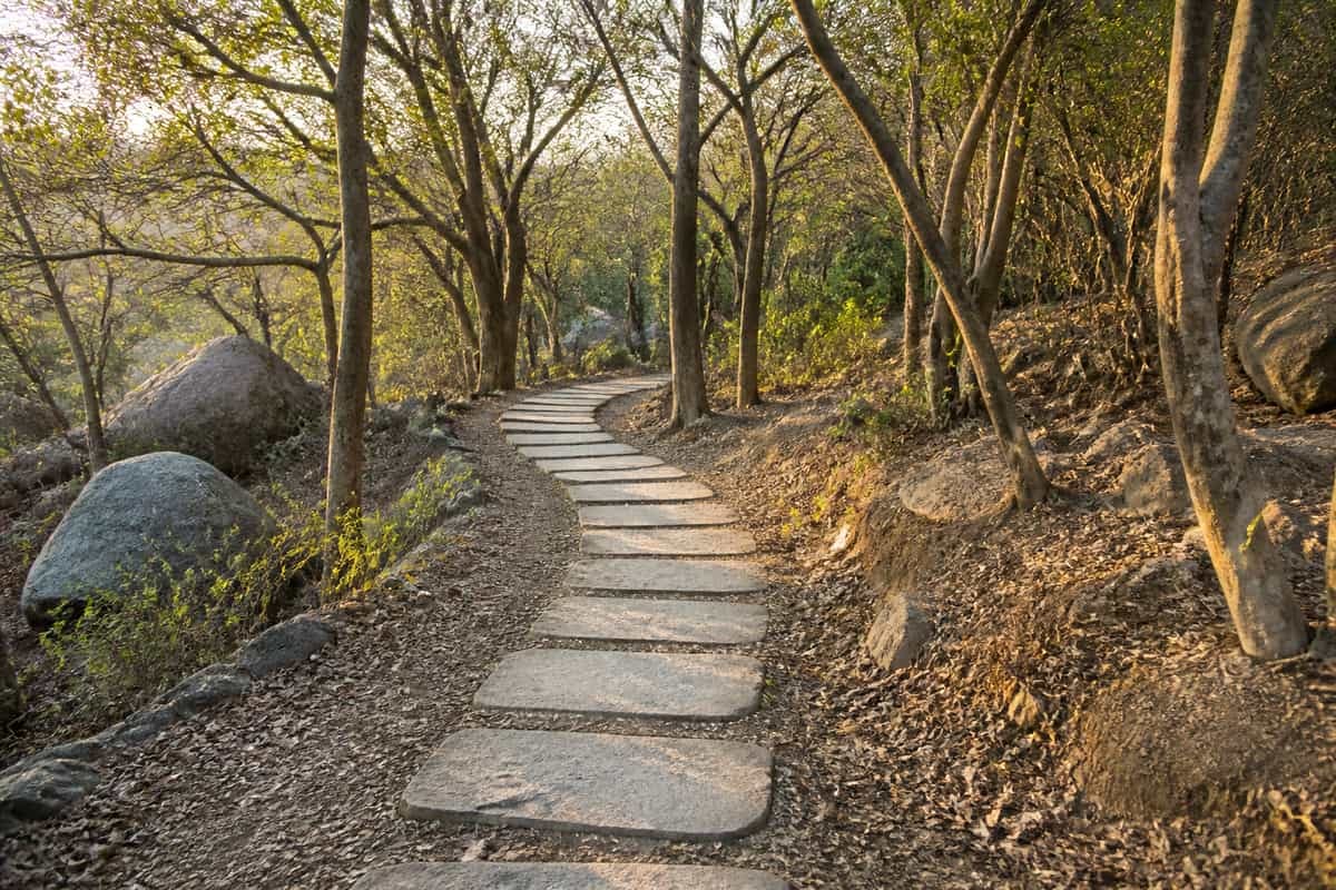 A winding woodland path formed from a sequence of plain stone pavers