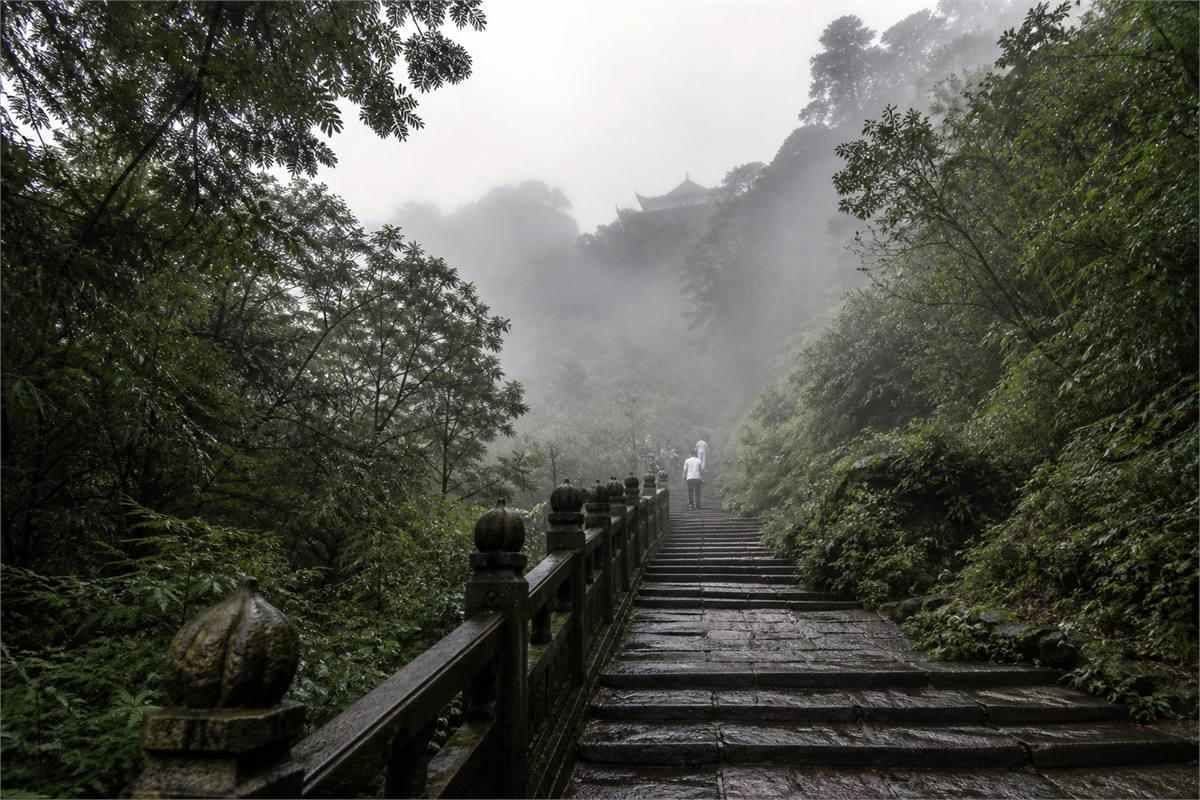 Misty stone pilgrimage steps rising through a green mountain forest with a distant temple roof