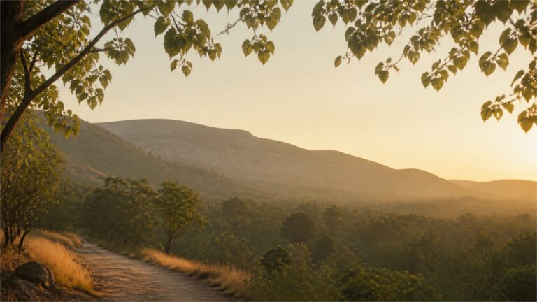 Long gentle mountain ridgeline at dawn framed by leafy branches above a quiet path
