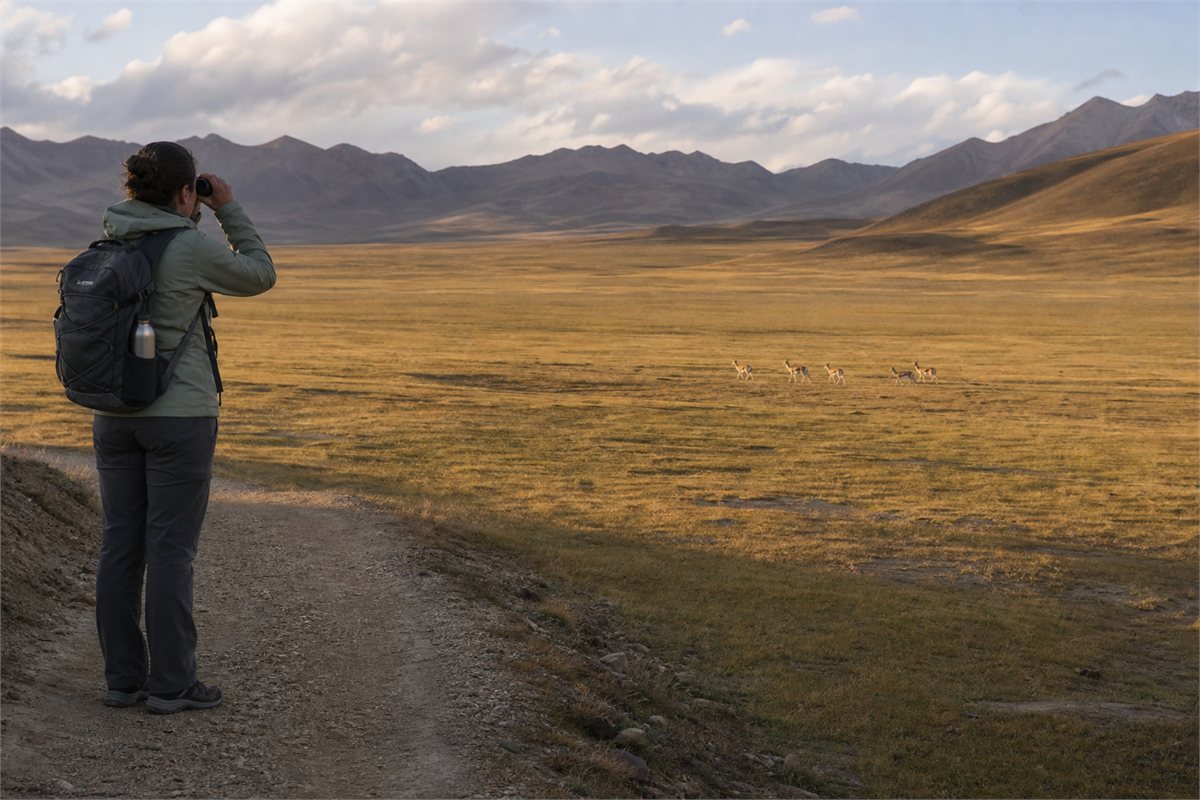 A visitor using binoculars from an established trail while distant gazelles cross open plateau grassland