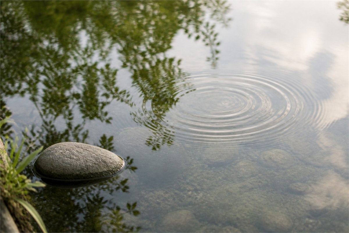 Soft reflection of sky and leaves moving across gently rippling water