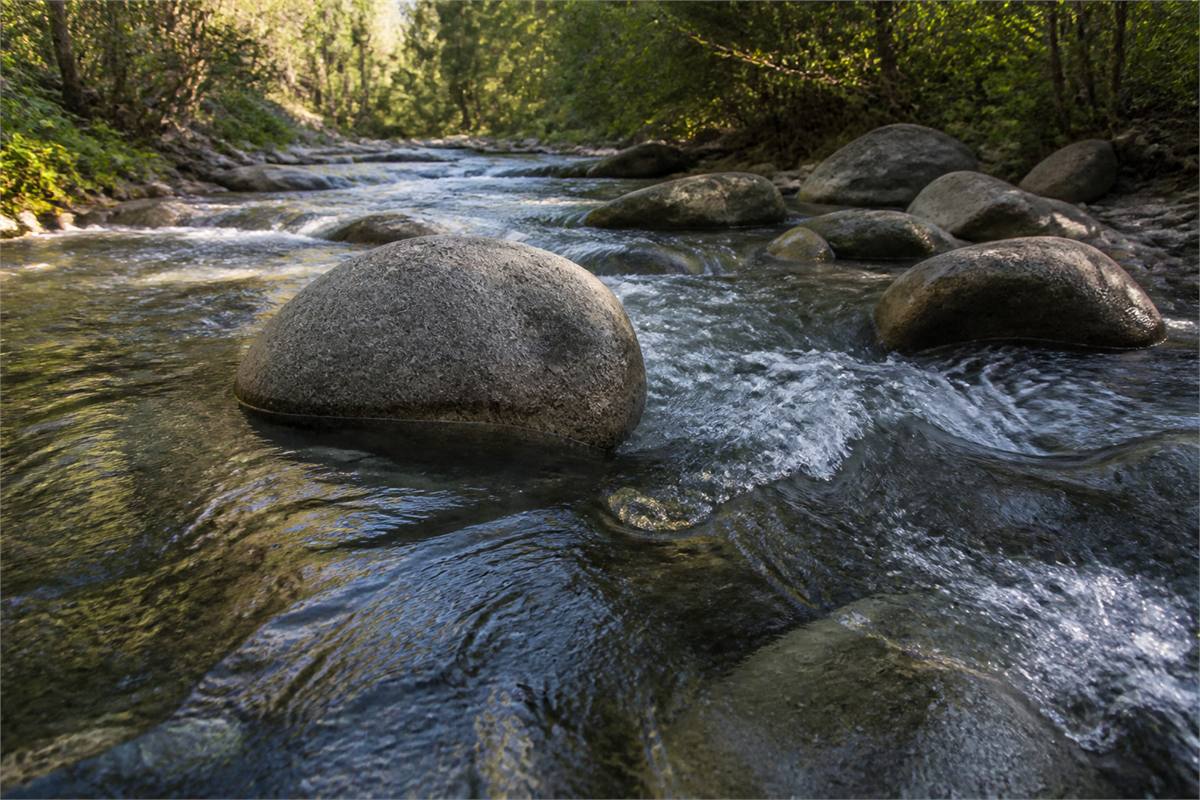 Clear river flowing around smooth stones beneath soft daylight