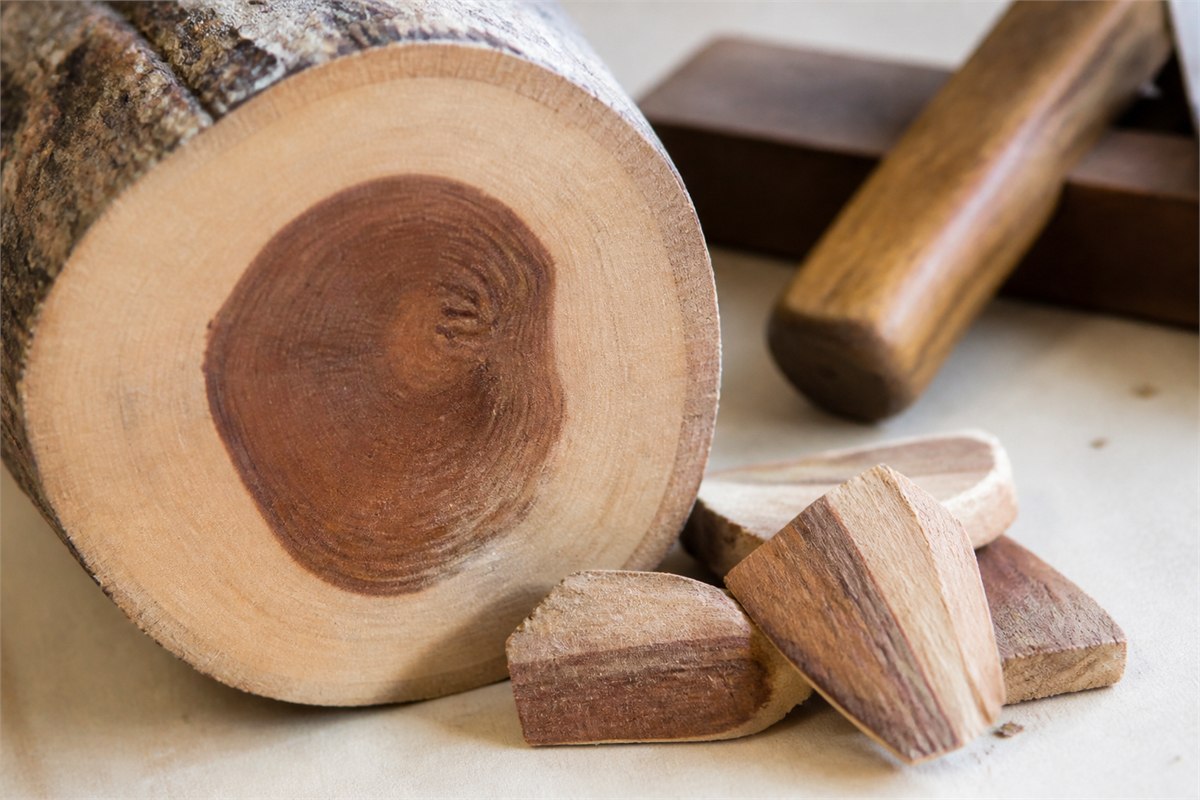 Cut sandalwood log showing darker heartwood surrounded by paler sapwood