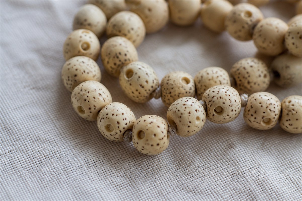 Cream star-and-moon Bodhi beads with fine dark pores and larger moon cavities