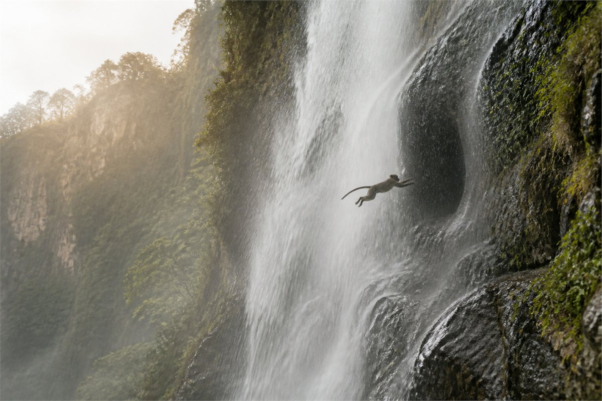 A natural monkey leaping through a waterfall toward a rocky cave