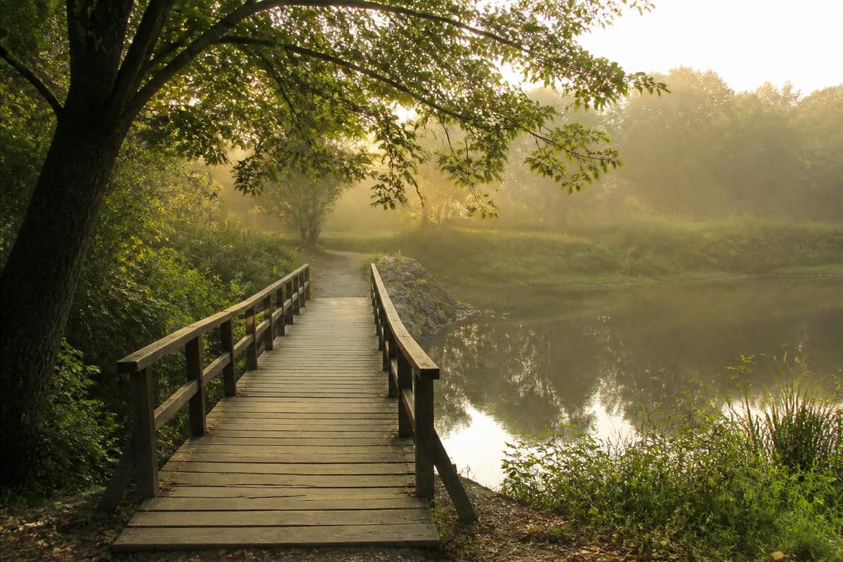 Small wooden bridge crossing calm water toward a sunlit path