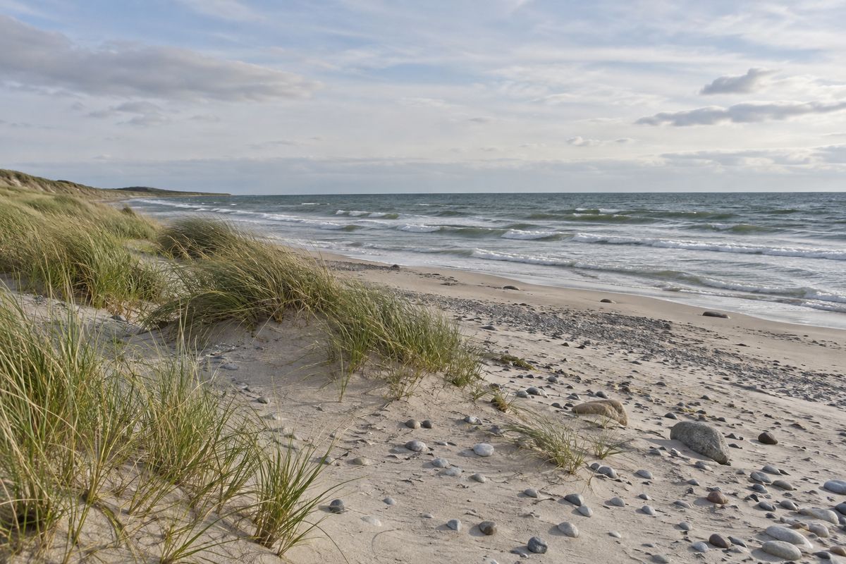 Low grassy dunes meet a pale sandy beach and a grey-blue sea.