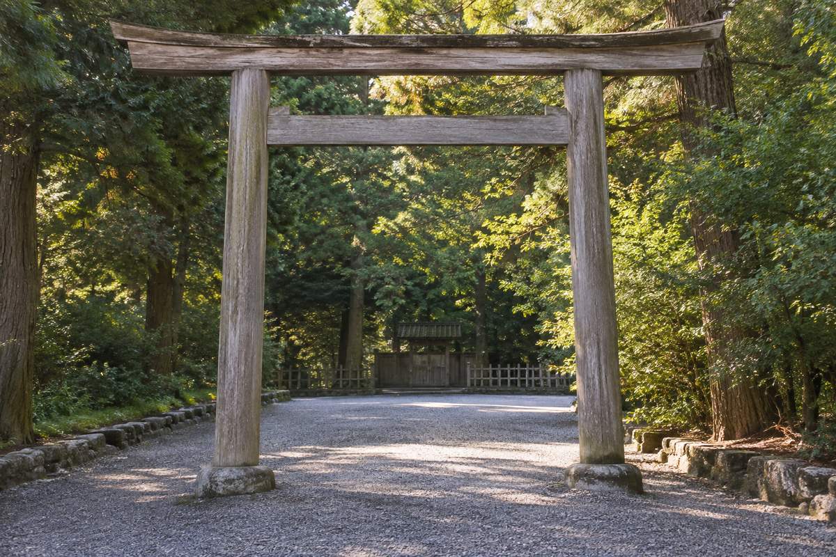 Wooden torii gate on a quiet tree-lined gravel path