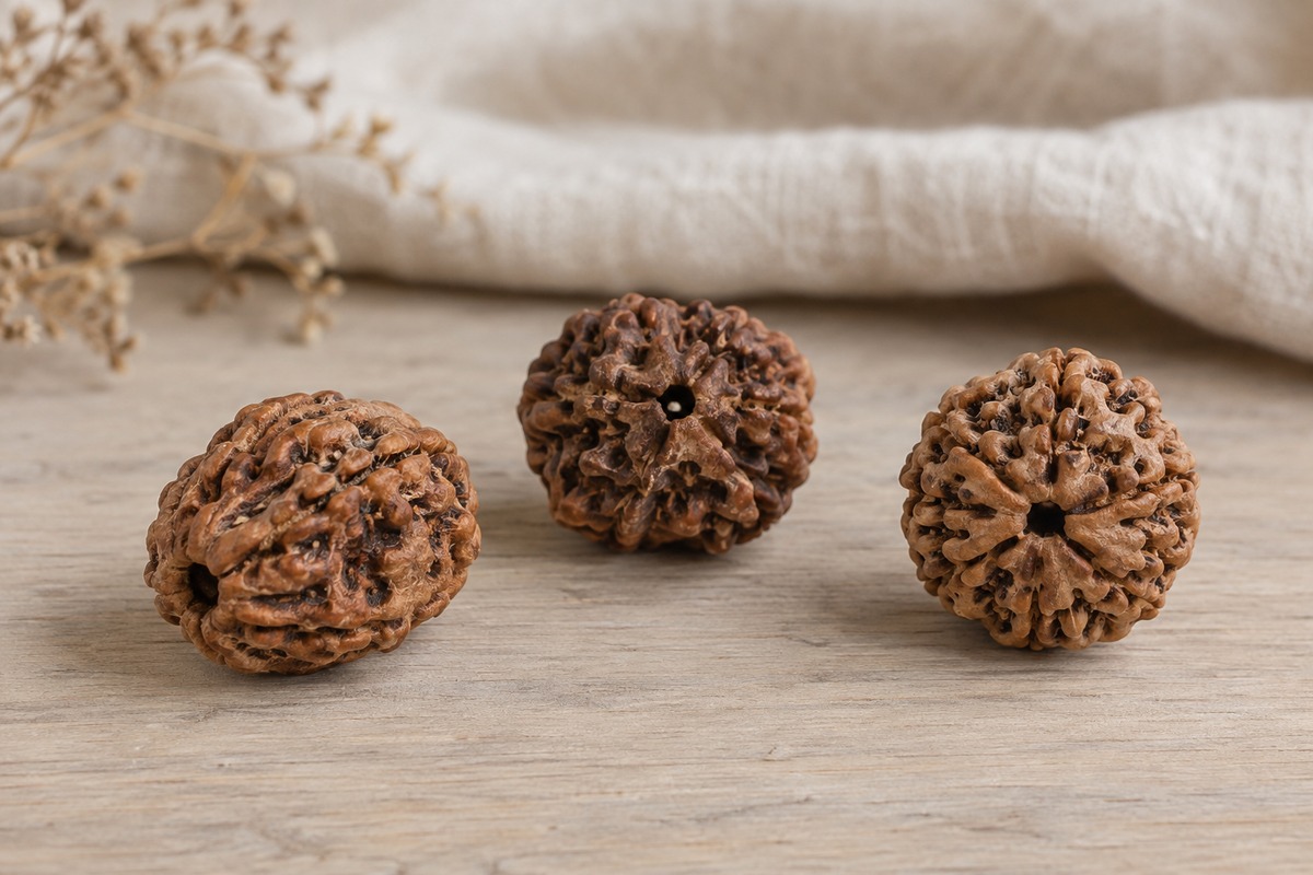 Three loose Rudraksha beads with different shapes and natural textures on pale wood.